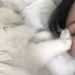 얘가 나 밀어<b>냄</b>