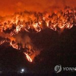 [긴급속보] 울진 산불 삼척까지 확산…원전 지나 LNG <b>생산</b>기지...