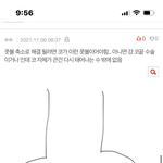 (<b>사진O</b>) 얘들아 이런 큰 코는 코 수술해도 효과 없어?...