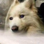 [NCT드림] ㅅㄷ 얘들아 ㅇㅍㅅ ㅊㅊ 좀