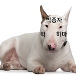 ㅋㅋ