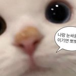 [19] 얘들아 너네 얃옹보지마 ㄹㅇ ㅈㅂㅈㅂ