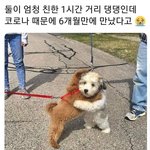 [모두드루와] 뭔가 <b>느낌상</b> 남돌은 4세대 안 열린 것 같음