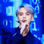 버뮤다 라인