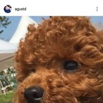 [방탄소년단] 똑같이생김
