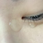 [댓글부탁해] 아..진짜 우리집 개빡침