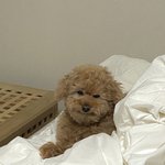 [드루와] 너희 국숭세단이면 과잠이나 <b>학잠</b> 입을거야??