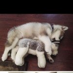 <b>형돈</b>이 제일 귀여운건 나밖에 몰라