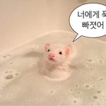 [댓글부탁해] <b>isfp</b> 특징 알려주라 ㅠㅠ