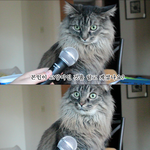 [방탄소년단] 오랜만에 왔는데