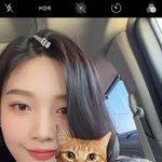 제발 알려줘ㅜㅜ 조이 고양이<b>필터</b>? 아는사람
