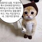나만 누가 나 좋아하는거 같으면 이러냐
