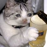 [트레저] <b>직진남</b> 안줘?