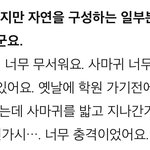 [더보이즈] <b>주연</b>이가 정말 무서워하는것은?