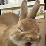 <b>로</b><b>판</b>추천해줄 예쁘니~~~