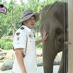 코끼리의 <b>실체</b>.jpg