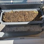 [하소연] 3월봄에<b>식물</b>씨앗심기