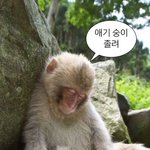 [댓글부탁해] 학교에서 준 자가<b>키트</b> 당근에
