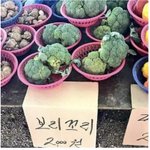 [19] 남친이 인스타로 여자들 팔로하는거