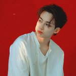 세븐틴 정한 <b>서치</b> 의외로