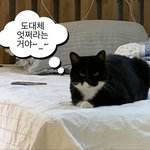 얘드라 내가 썰 풀어줌