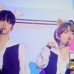 [TXT] 그 <b>죄송</b>한데 오른쪽이 더 강아지 같음
