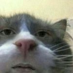 [댓글부탁해] 나 건<b>동홍</b> 공대 갈 수 잇음?