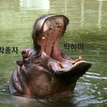 친구 사촌동생이