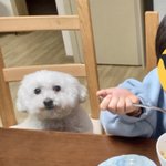 너희 공부 안하면 불안하고 <b>초조</b>함??