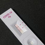 이렇게 나왔는데 들고가면 pcr검사해줄려나?