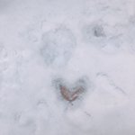 [NCT드림] Joy <b>to</b> the world❤