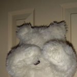 [댓글부탁해] 유튜브 동물 채널중에 <b>미어캣</b>이랑 고양이랑 강아지 키유는...