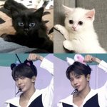 [TXT] 강태현 얼굴 뭐야