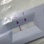 자기키트 이정도 보여도 <b>양성</b>임?
