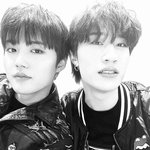 [트레저] <b>도담이</b>들
