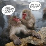 학교 갈때 더 쪽팔린거 추반