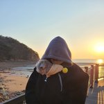 야 나 <b>셀프</b>레이어드컷 해본다~~????