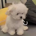 대학 실시간 강의 <b>출석</b> 못했는데 어떡해