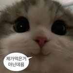 <b>저녁</b> 약을