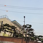 메가 장풍 언제나올려나