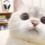 <b>첫눈</b>에