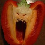 [ㅈㄱㄴ] ㅅㅣ바...남.혐왜하는지이해함