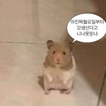 <b>문이</b>과 통합이야??