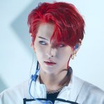 [모두드루와] 트레저 빨머 <b>요시</b> 비주얼