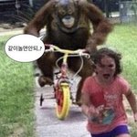 나 진짜 금방 <b>싫증</b>나는것같음