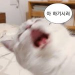 <b>진로</b> 없으면 생기부 뭘로채워야돼?ㅠㅠㅠ