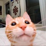<b>멍청</b>한 소리 하는 거 너무 짜증나지 않음?