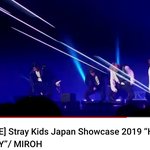 [스키즈] 신기하네