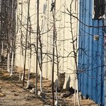 [댓글부탁해] 근데 남자들은 <b>간접</b>키스 별로 신경안씀??