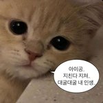 새벽감성 오지는데 짝남/썸남/남친 썰 좀 풀고가줘 ㅈㅂ